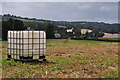 East Devon : Grassy Field