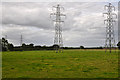 East Devon : Grassy Field