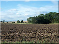 Ploughed field near Mill End