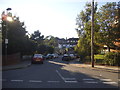 TQ2690 : Red Lion Hill, East Finchley (set of 2 images) by David Howard