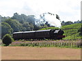 Gwili Railway near Bronwydd Arms