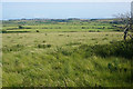 SM7427 : Fields below Carnedd-lleithr by Bill Boaden