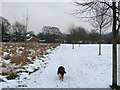 The Footpath crosses the Goldfield Recreation Ground, Tring