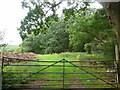 Field entrance off Cock Lane