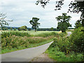 View north from lane to Monks Green