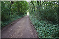 Coastal path towards Creek Farm