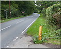 Breakspear Road North at Mad Bess Wood