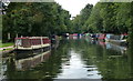 Narrowboats moored along the Grand Union Canal