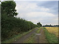 SK5579 : Farm track off Spring Lane by Jonathan Thacker