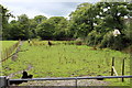 Pasture, near Brook Rise, Oakdale