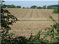 Fields next to the B1383