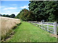 Field alongside the B1383