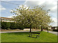 Cherry Trees, Maes-y-Garn Road, Oakdale