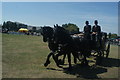 View of two horses and a cart from West and Coe Funeral Directors doing a lap of the arena