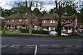 Houses at end of Waterworks Road