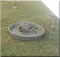 View of a falcon having a bath in the Steam and Cider Festival in Old Dagenham Park