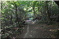 Tandridge : Scearn Bank Footpath