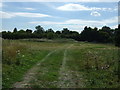 Farm track off Lower End Road