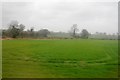 Pasture near Edington