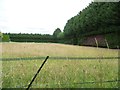 Wildflower meadow on former nursery land