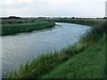 TL2488 : The River Nene (Old course) near Stoke's Farm by Richard Humphrey