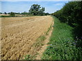 Footpath to Great Chesterford