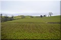 Farmland in the Severn Valley