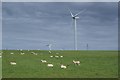 ND0364 : Baillie Hill wind farm by Richard Webb