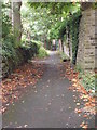 Footpath - Birkby Lodge Road