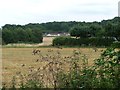 Farmland at Garboldisham Common