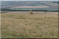 SZ4380 : Trig Point at Barnes High by Ian S