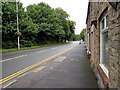 Trees side of Afon Road, Llangennech