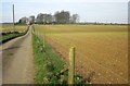 Byway to Winterwell Barn