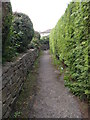 Footpath - Clough Avenue