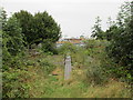 Old railway bridge