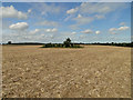 Two sides of a moat in the middle of a stubble field