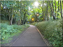 SD4762 : Footpath and cycle path along ex railway line, Lancaster (1) by Richard Vince