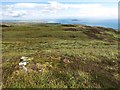 NR6007 : Moorland on Beinn a'Theine, Mull of Kintyre by wrobison