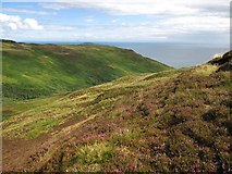 NR6206 : Moorland on the Mull of Kintyre by wrobison