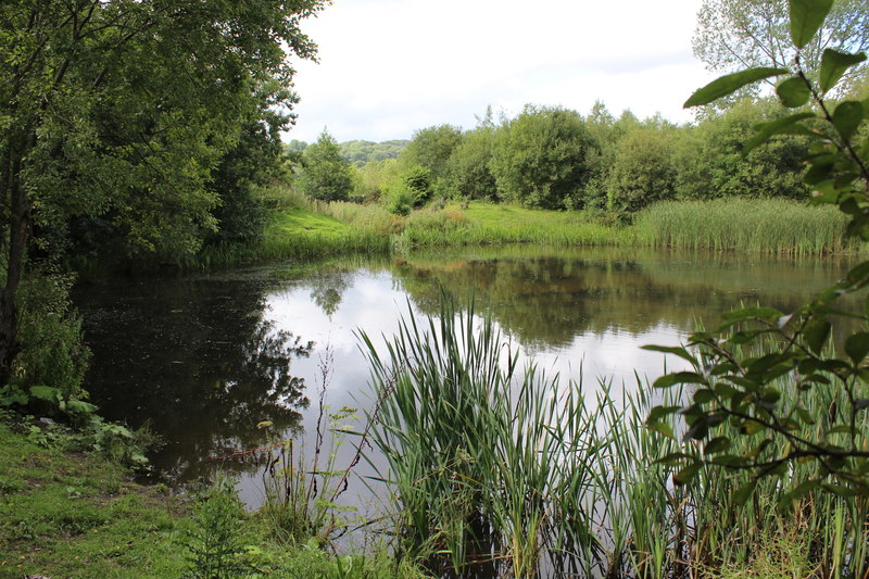 Pond, Plateau 4, near former Colliers'... © M J Roscoe :: Geograph ...