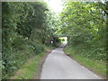 Blackpit Lane near Orton