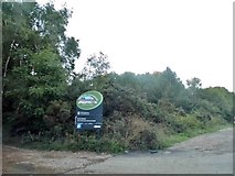 SU8359 : The entrance to Yateley Common on the A30 by David Howard