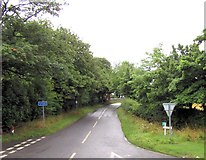 SJ8005 : Rectory road from A41 by John Firth