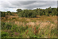 Disused Quarry