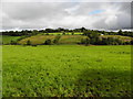 Scallen Townland