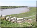 River Yeo