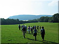 Llwybr Tal y Fedw Path