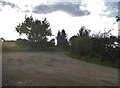 Farm track off Bower Heath Lane