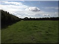 View near Firtree Hill Farm