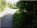 Footpath to Sullington Warren